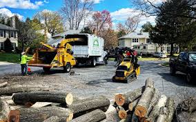 Best Firewood Processing and Delivery  in Holtville, CA